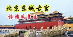 艹逼无马赛克黄片中国北京-东城古宫旅游风景区